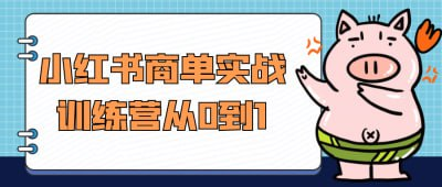 小红书商单实战训练营：从零基础到变现高手