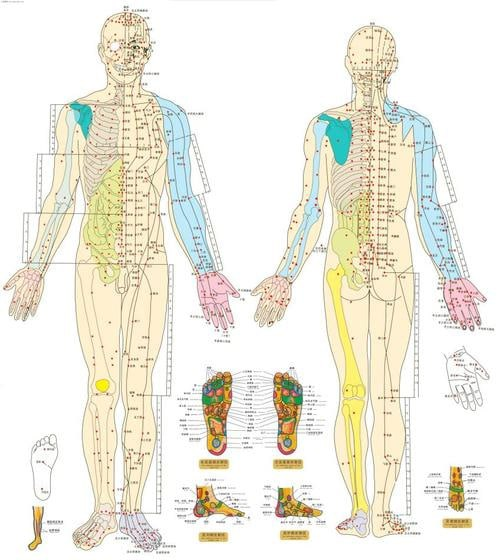 最全高清人体穴位图及穴位图解大全[免费在线观看][免费下载][夸克网盘]